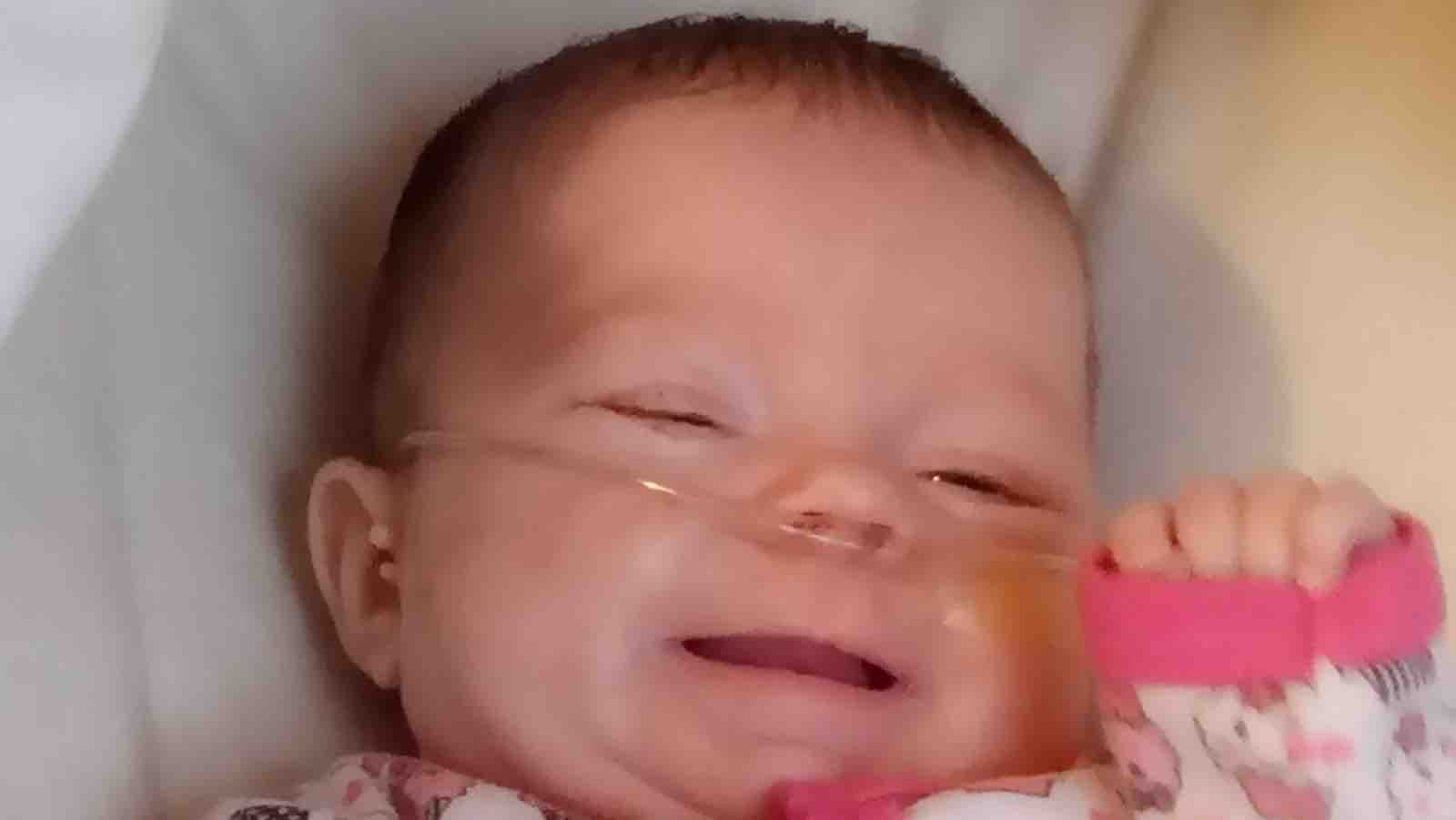 Azula has pneumonia again  photo