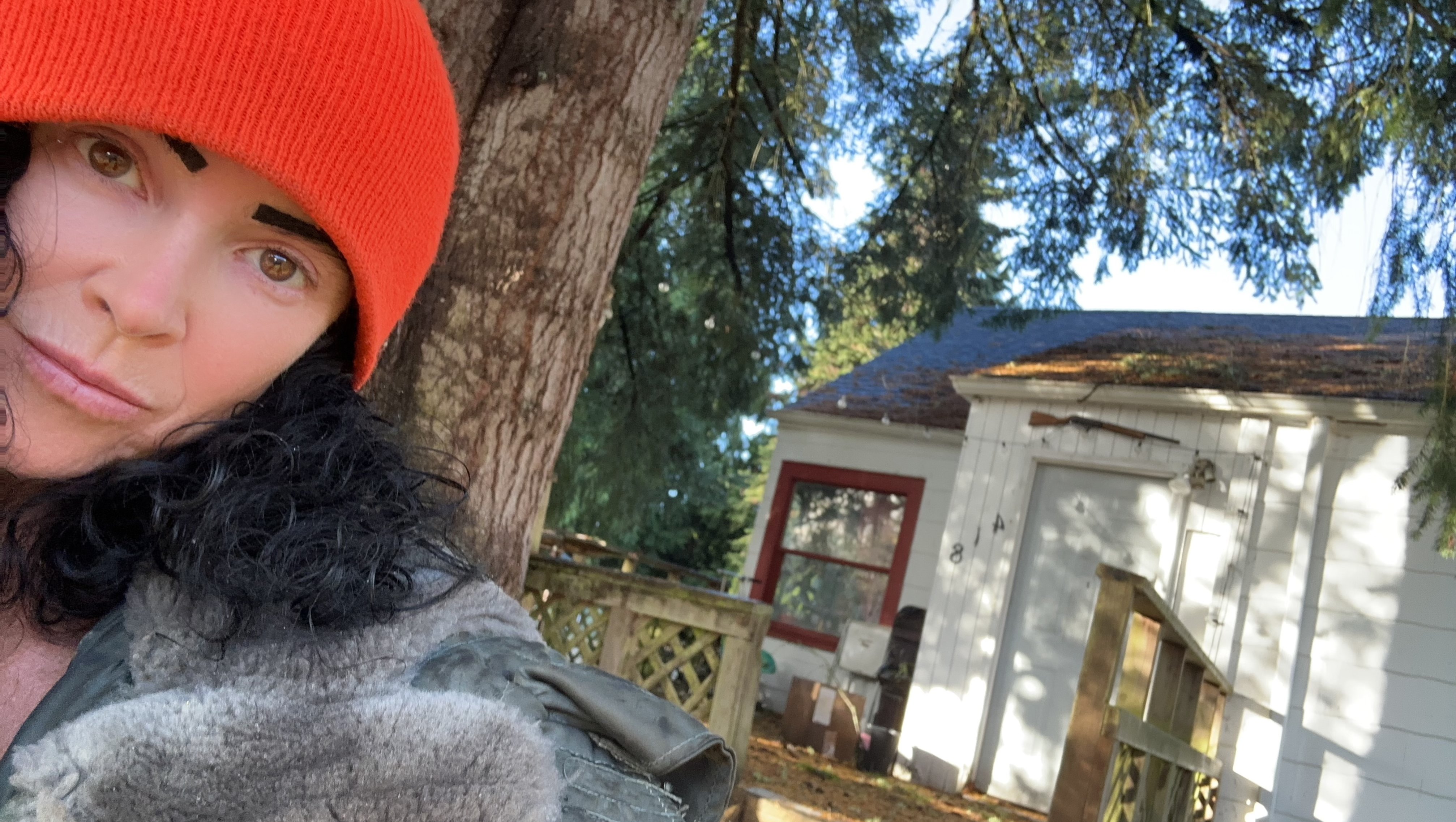 Help Rachel Carns Buy Her Punk House, Home of 25 Years photo