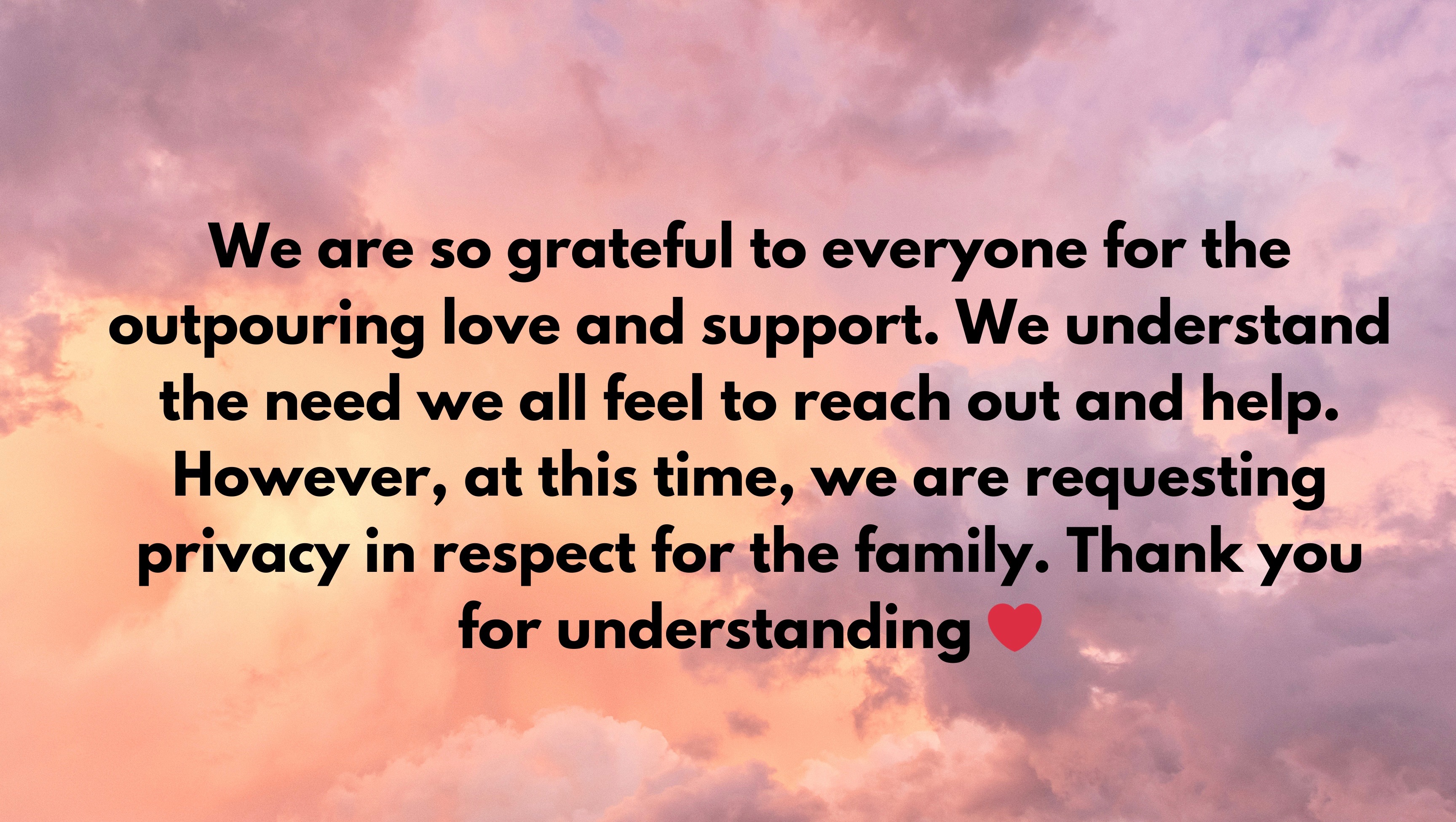 Support the Miller Family's Healing Journey photo