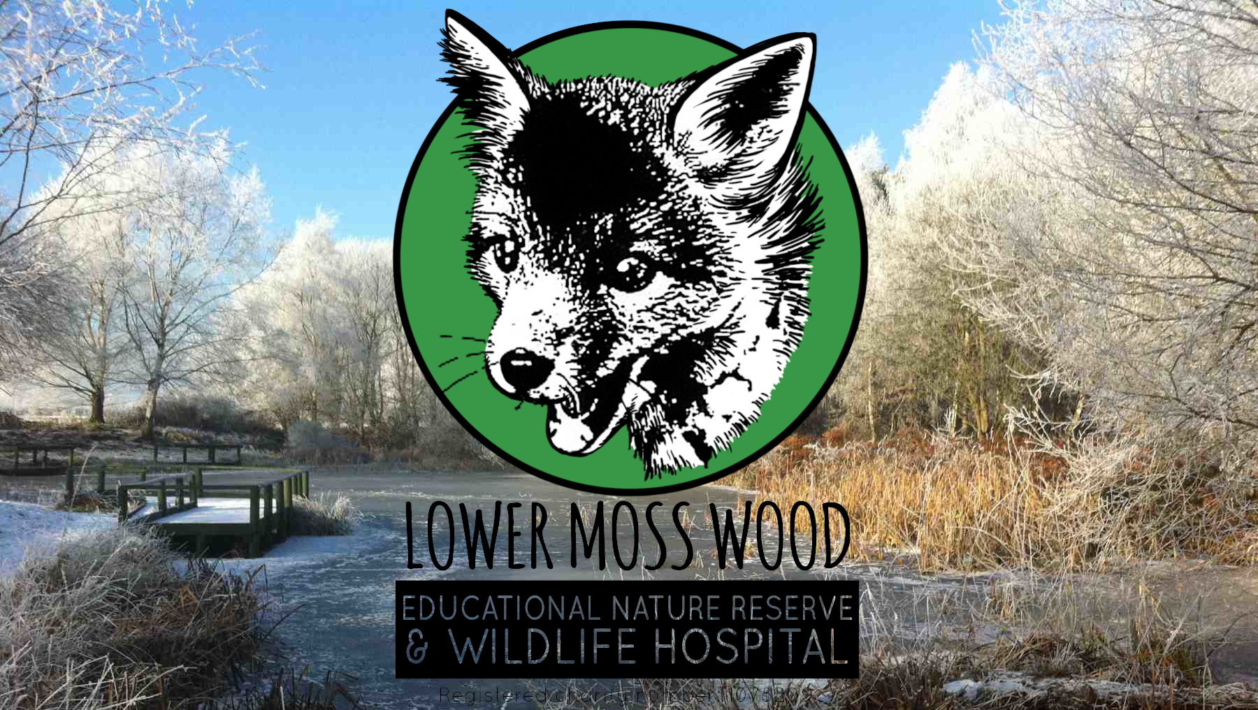 PLEASE Save Lower Moss Wood Nature Reserve photo