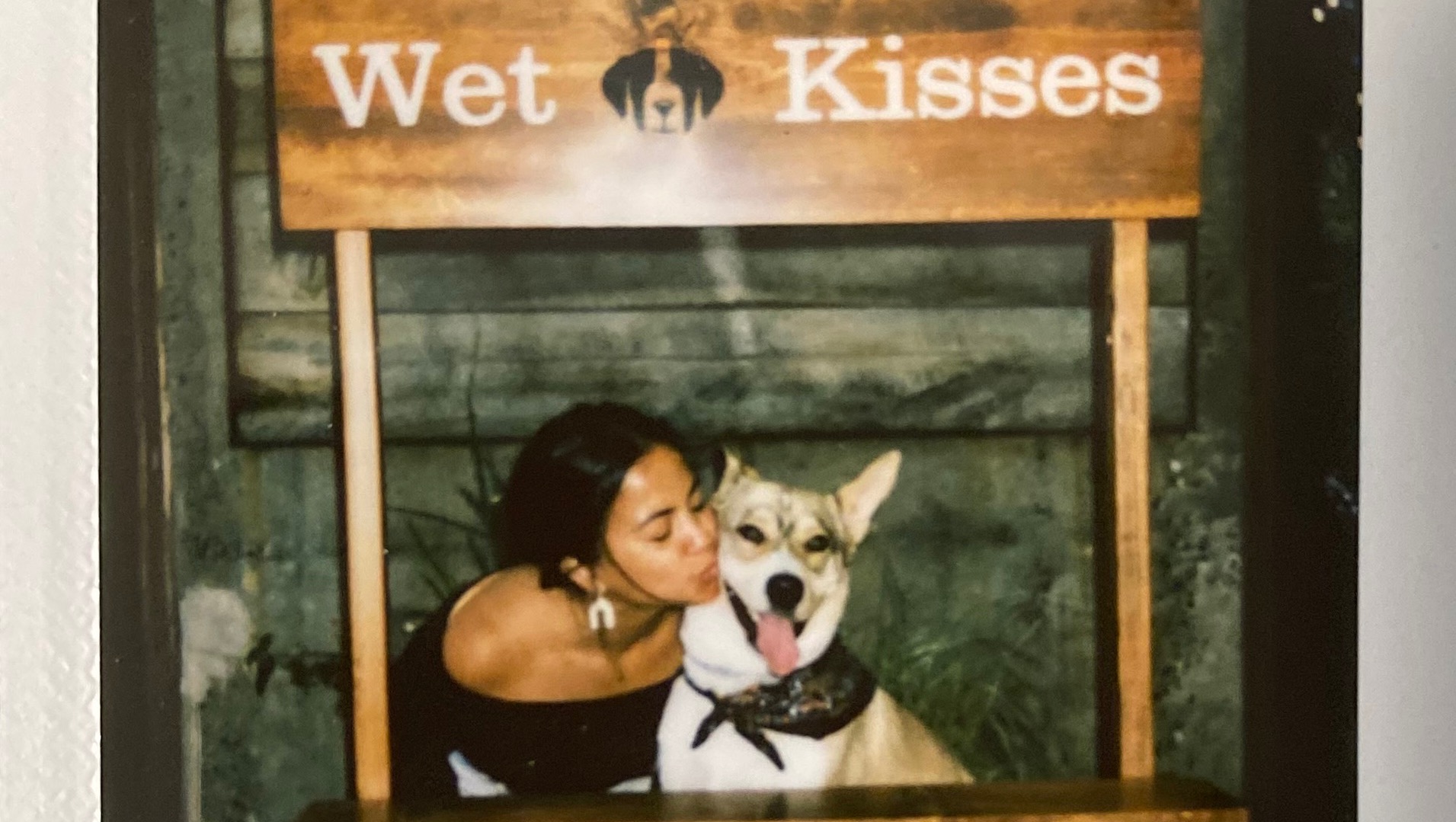 Support Kayo's Surgery and Recovery photo