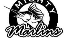 Mighty Marlins Swim Club photo