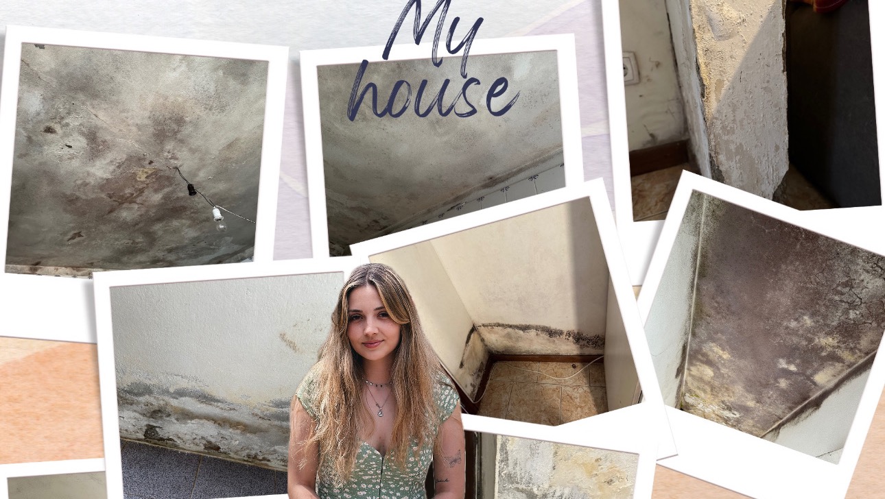 A Forever Home for Me, My Mom, and Our Animals photo