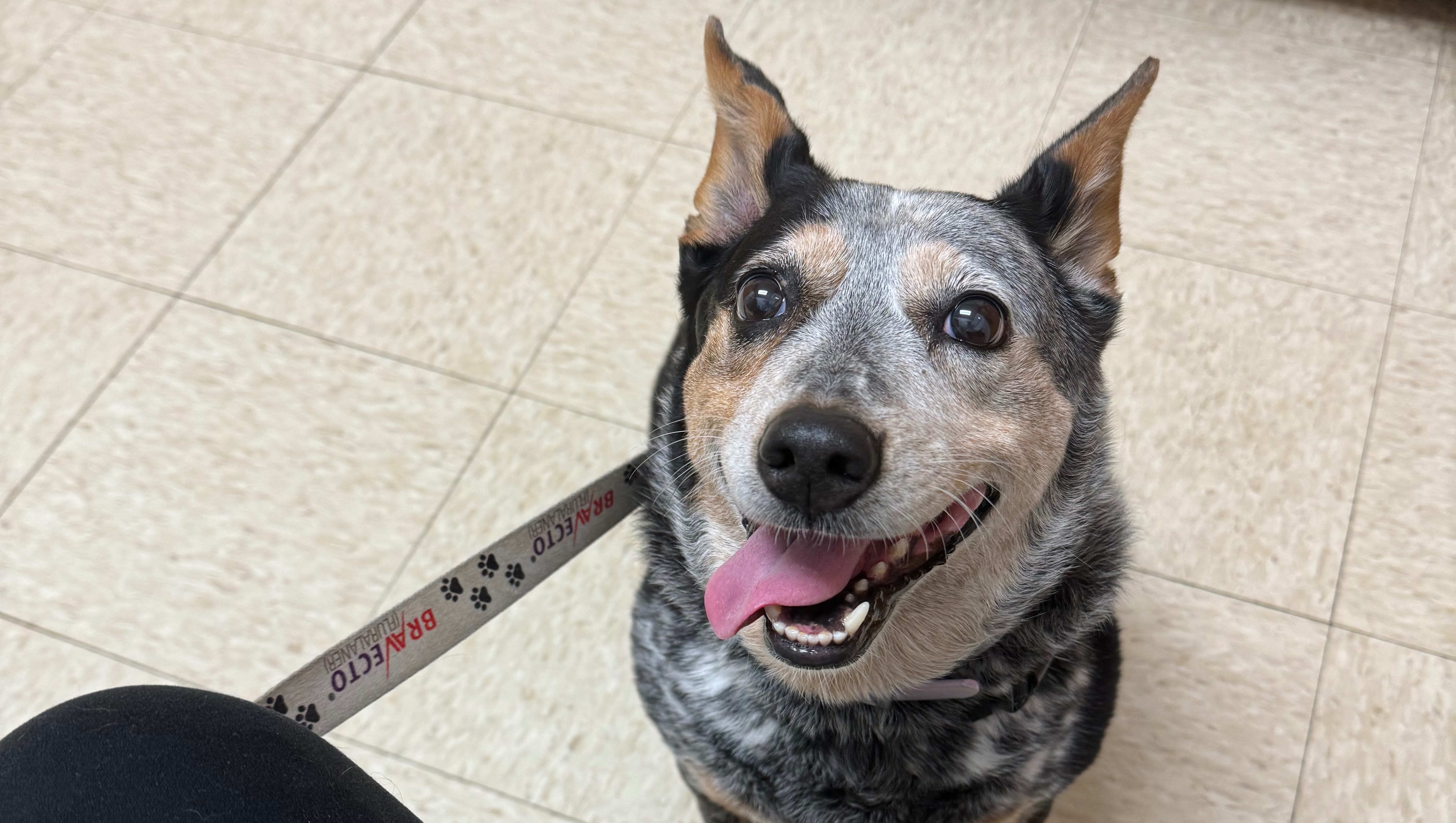 Fundraiser for Krystal Bowman by Jada Rose : Support Krystal & Dan's ...