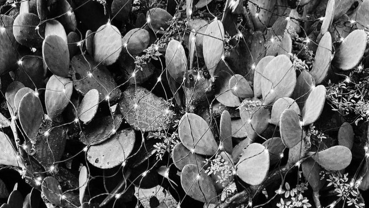 Help Sarah Cover Medical Costs After Kidney Procedure photo