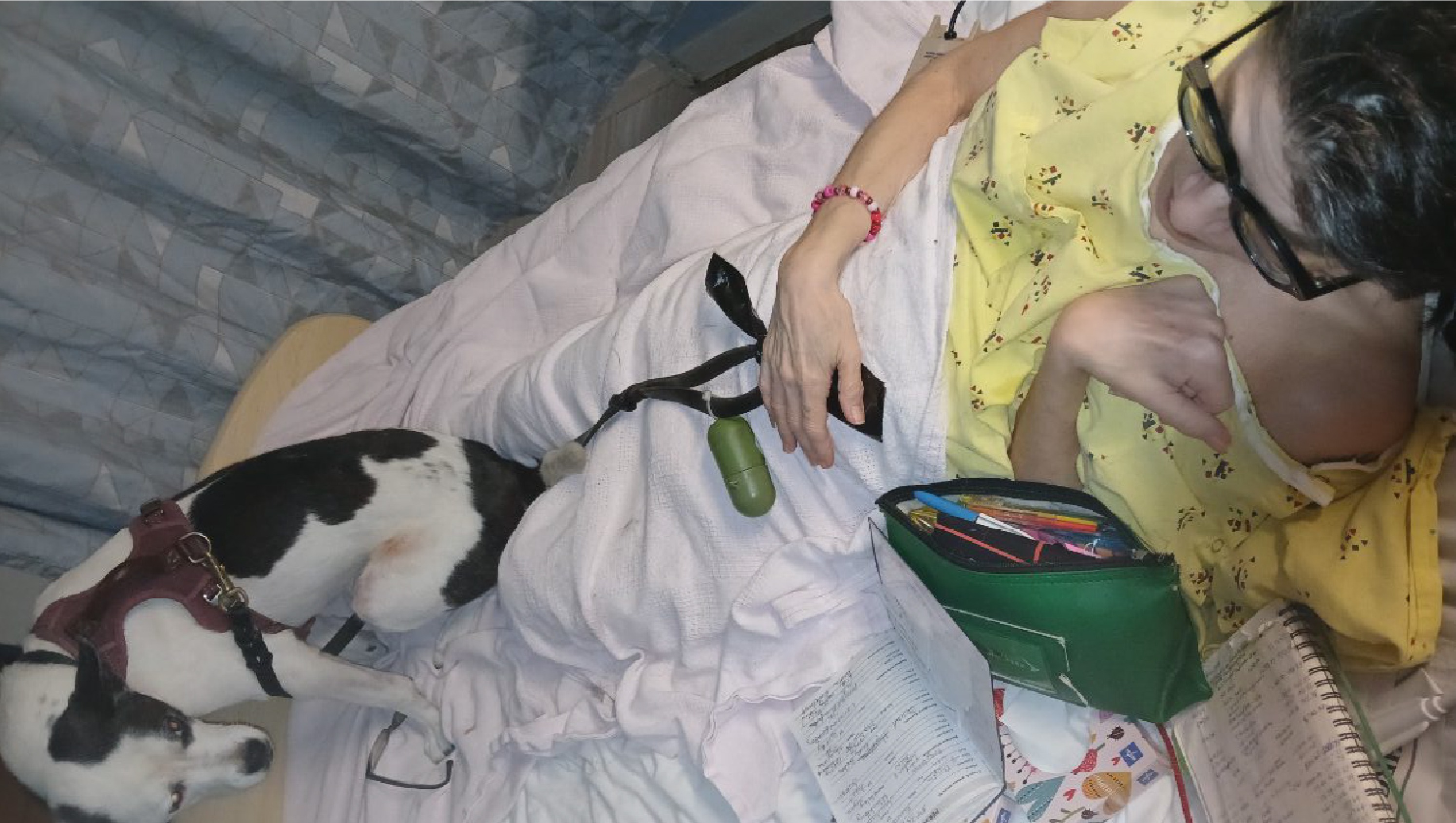 Heather and Solo's Health photo
