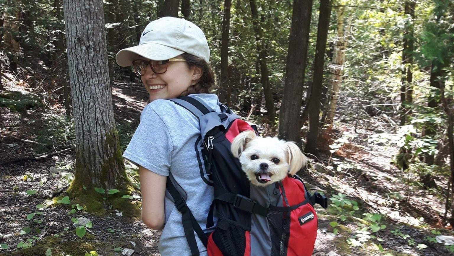 Fundraiser by Julie Rochefort : Atlas' emergency jaw surgery