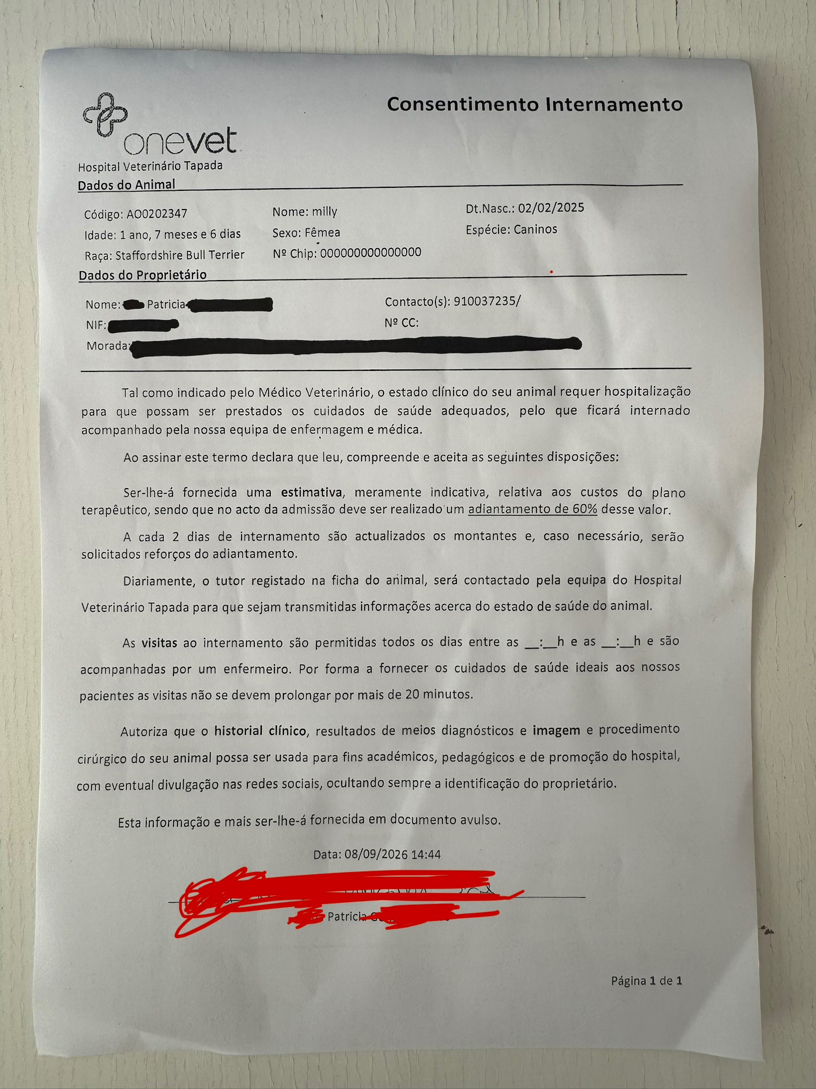 Foto da arrecadação HELP MILLY, AJUDE A MILLY, 7 de 8