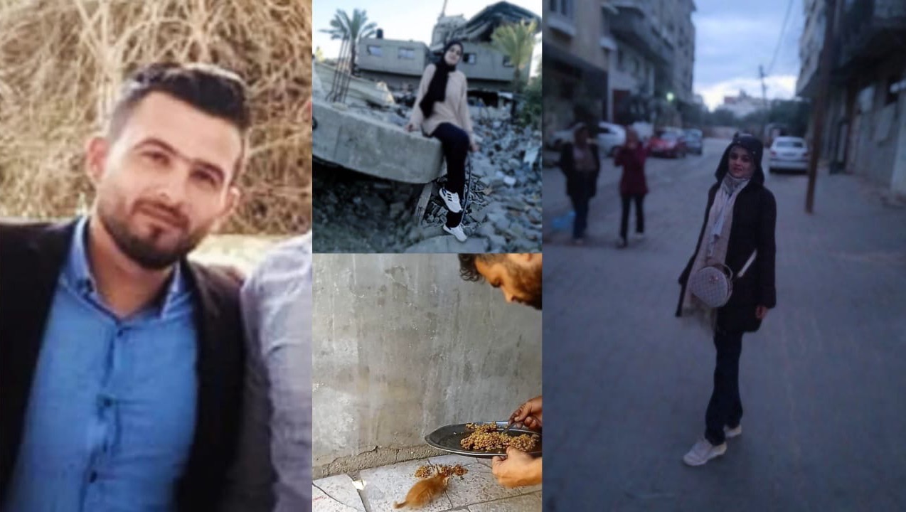 Help Shahad, Hassan, and their kittens survive Gaza war!