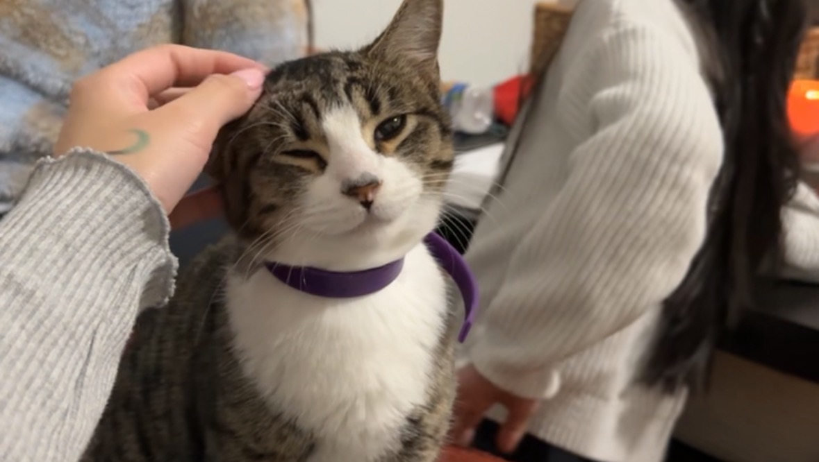 Fundraiser by Timothy Nichin : Support Rudolph's Fight for a Healthy Future