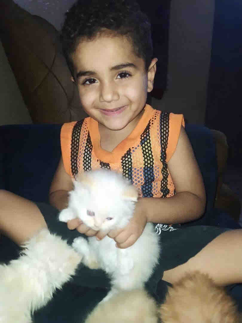 Help Little Hamoudi and his family survive this war campaign photo, 5 of 8