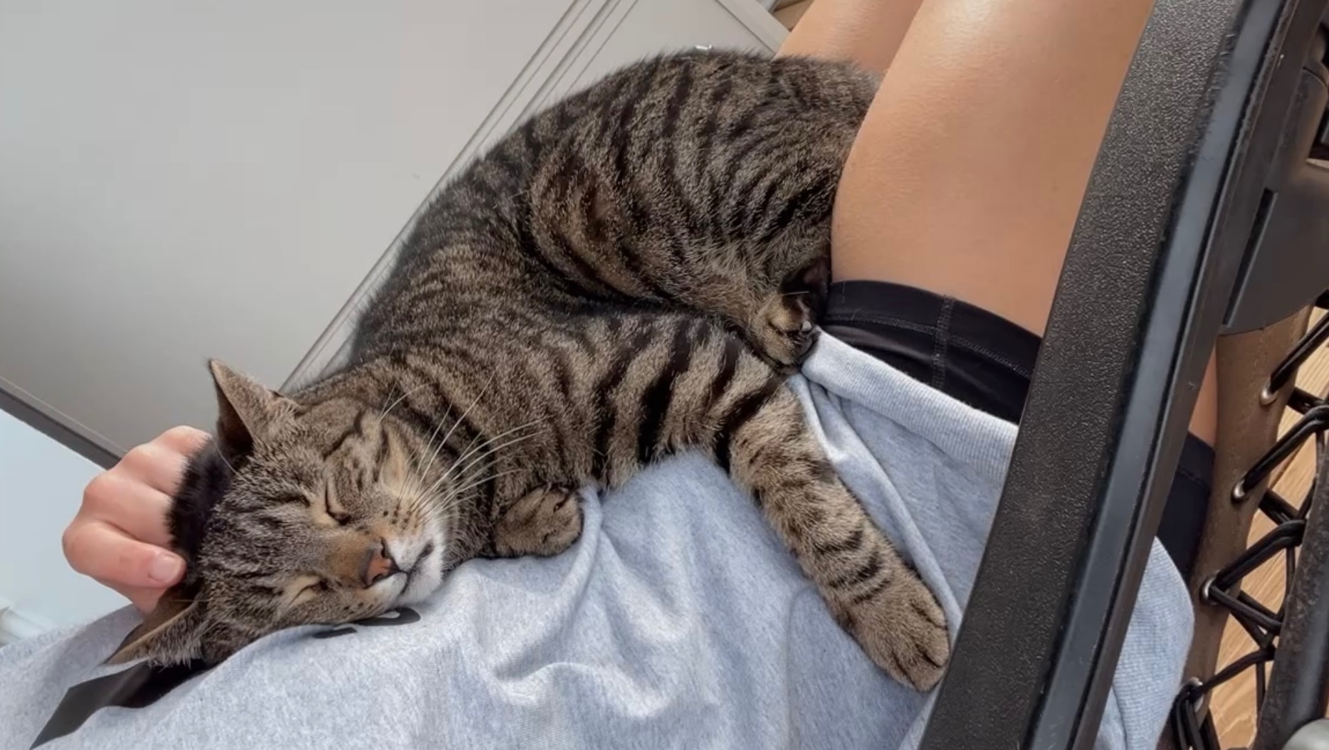 Leo Needs You for a Second Chance At Life photo