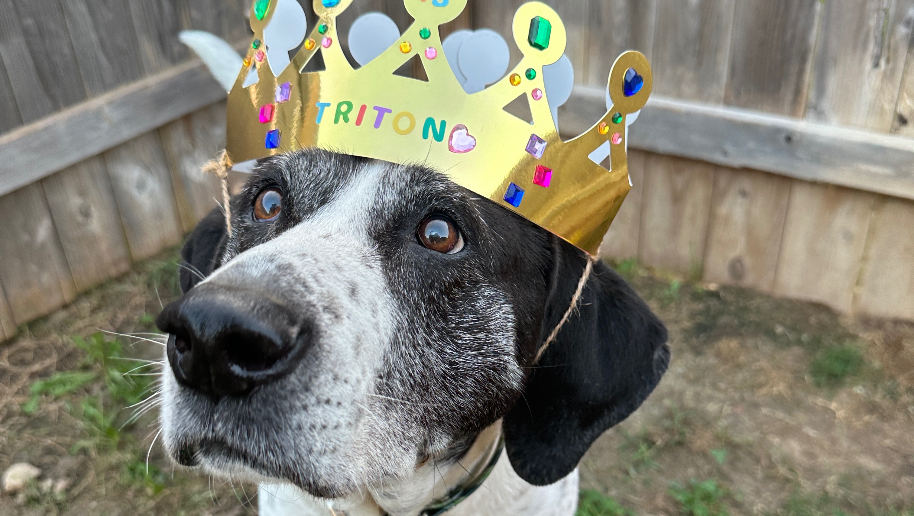 Triton’s Recovery Fund photo
