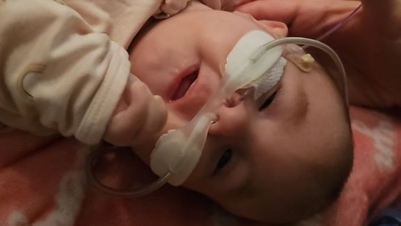 Everyn’s Journey photo