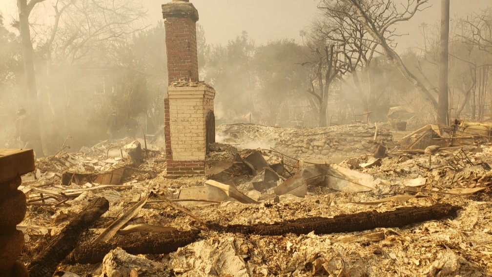 Help Charlie & Zofia Get Back On Their Feet After Eaton Fire photo
