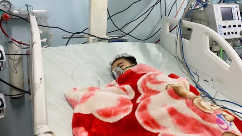 Donate to Feed Sujoud and Laila in Gaza pinned link photo