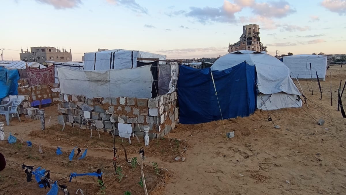 Fundraiser by Aubry Miller : Help Mohammed's Family Displaced in Gaza