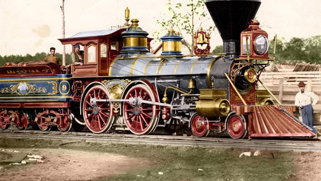 Help Rebuild Bird Rails Model Collection After LA Fires photo