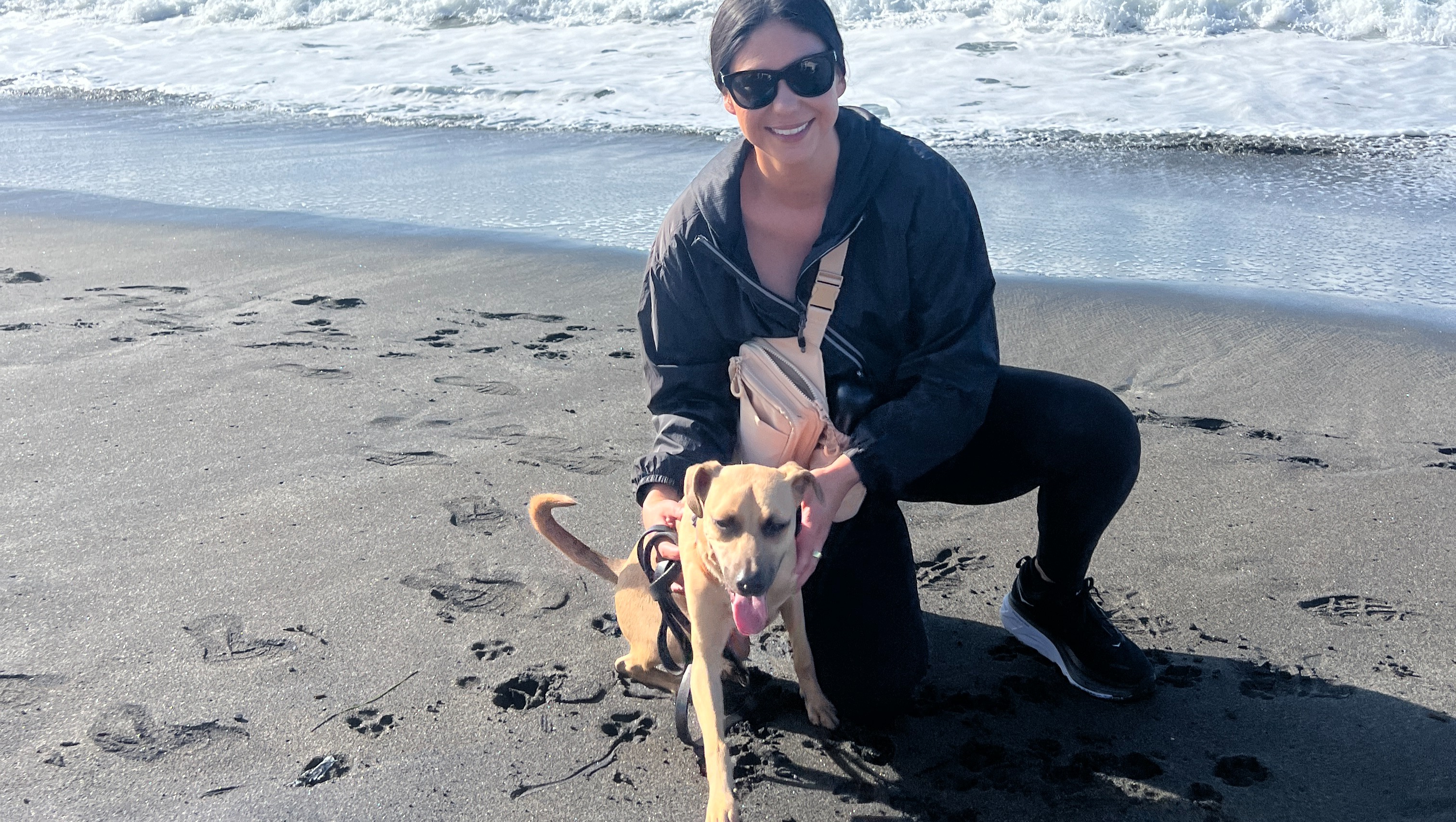 My Pup Needs a New Hip, Can You Help? photo