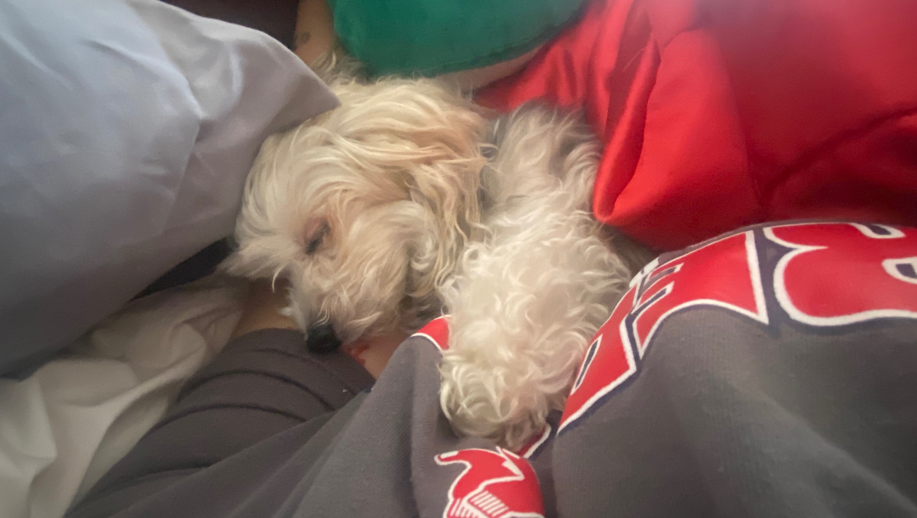 Help Save Sparklez: Surgery Needed Soon photo