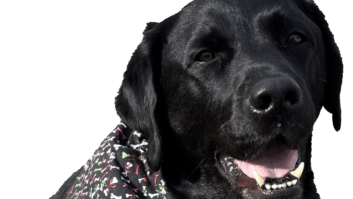 Help Ren Fight Cancer: Donate Today photo