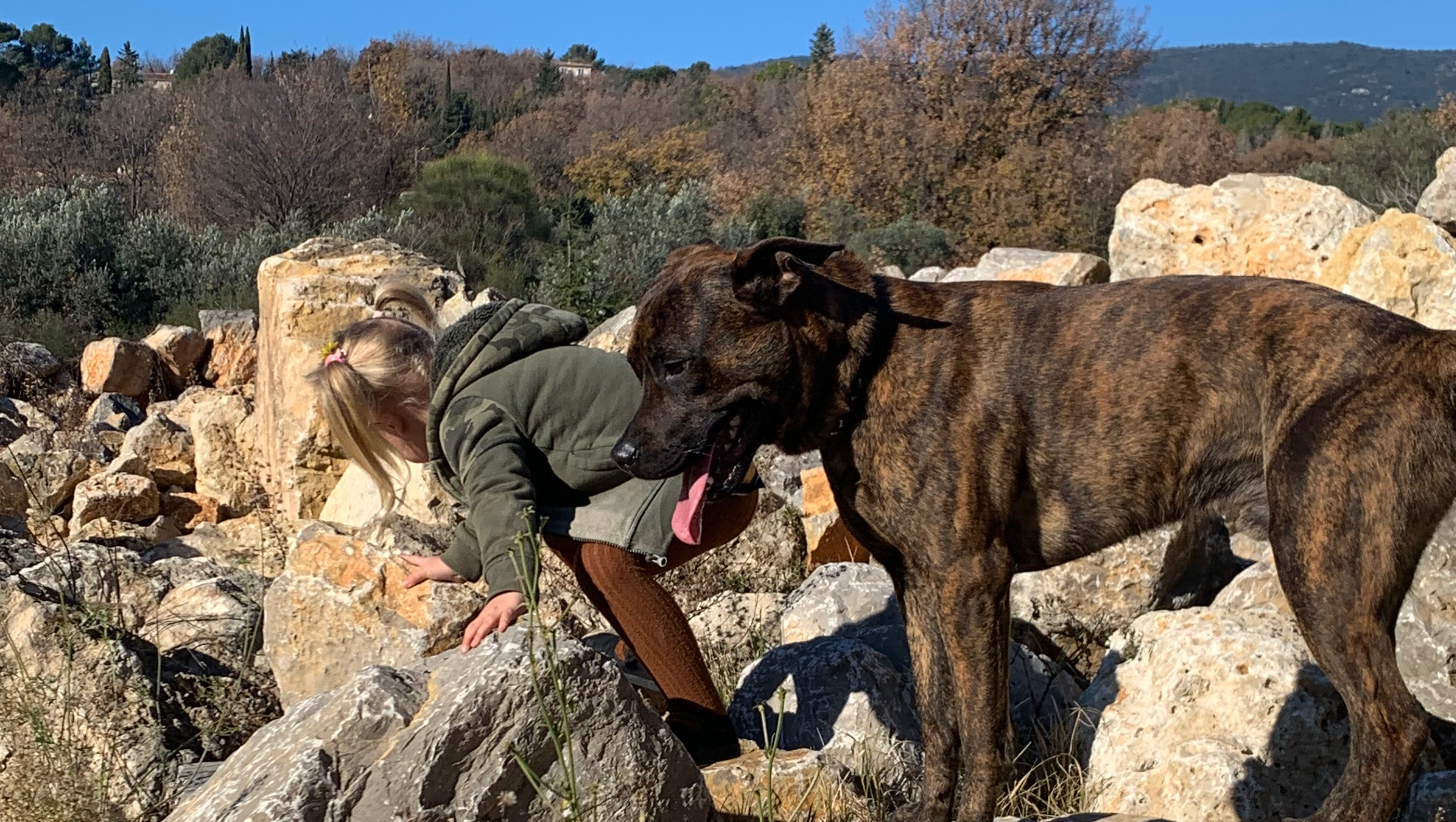 Family homestead off grid living photo