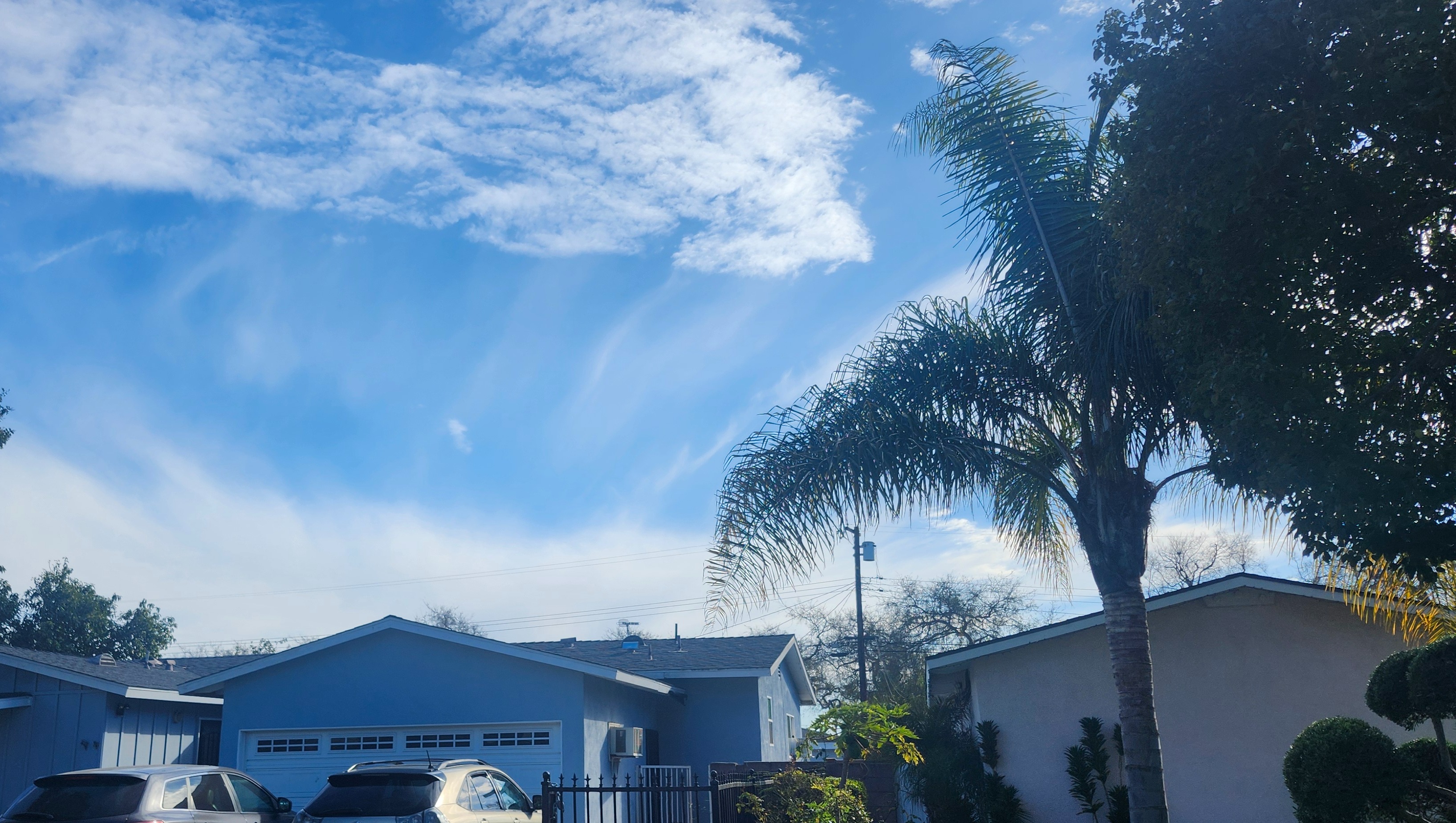 Honoring a Cherished Grandmother photo