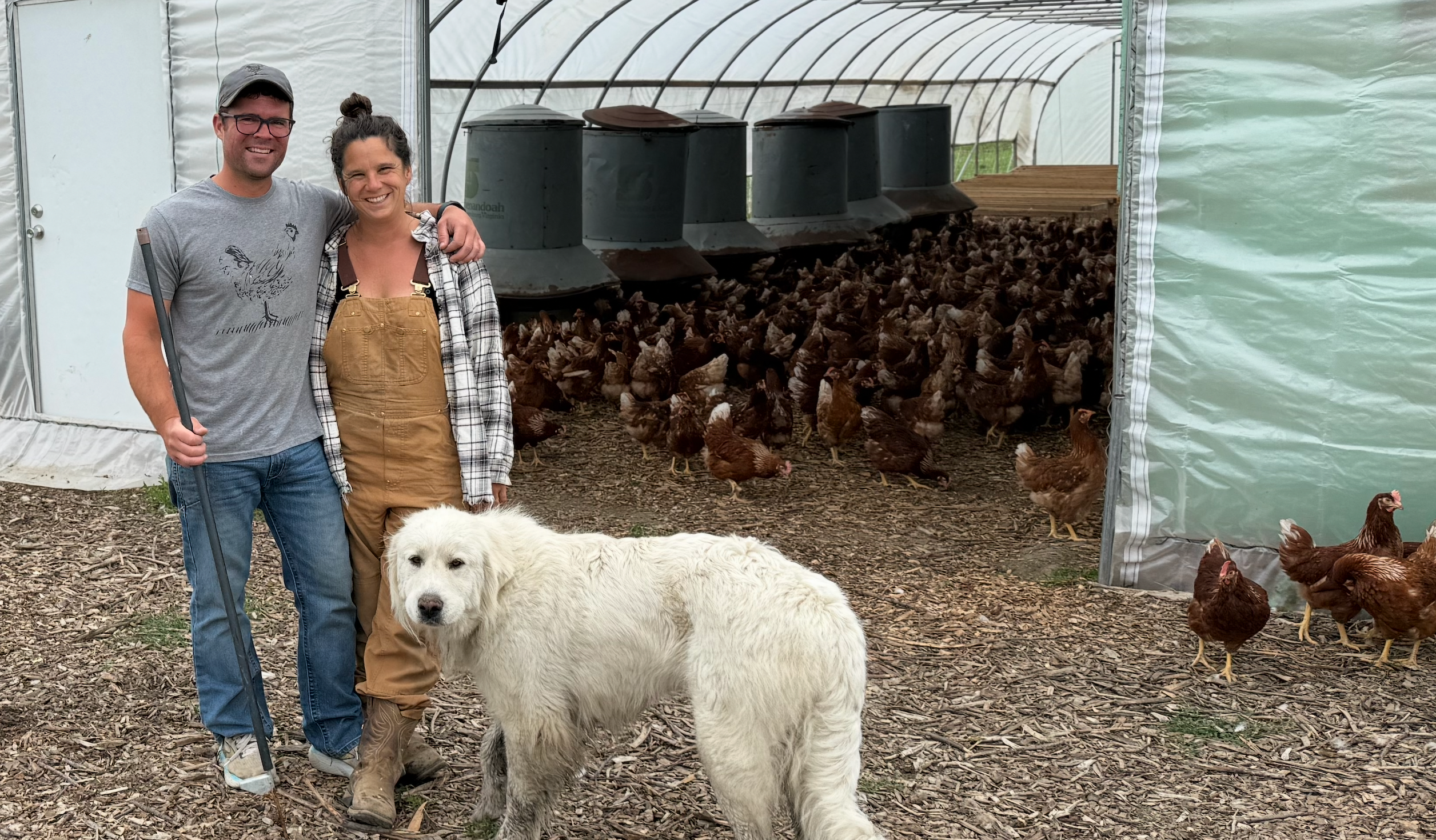 User-uploaded image 1