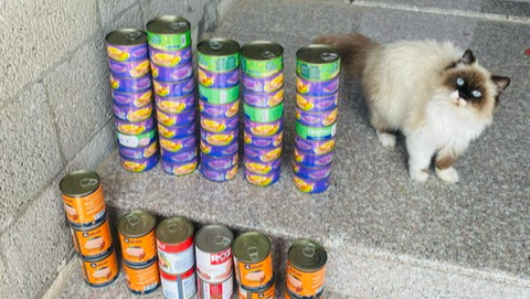 Help Ahmed Save Gaza's Animals