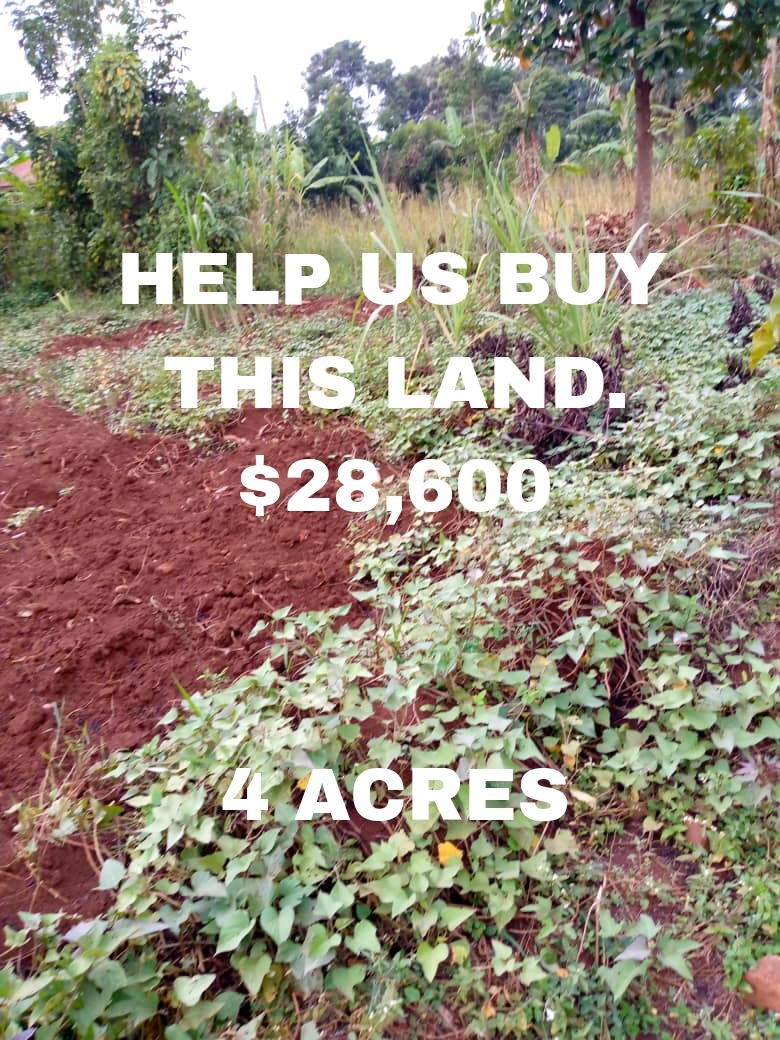 HELP US SECURE A BRIGHTER FUTURE FOR ORPHANS campaign photo, 5 of 6