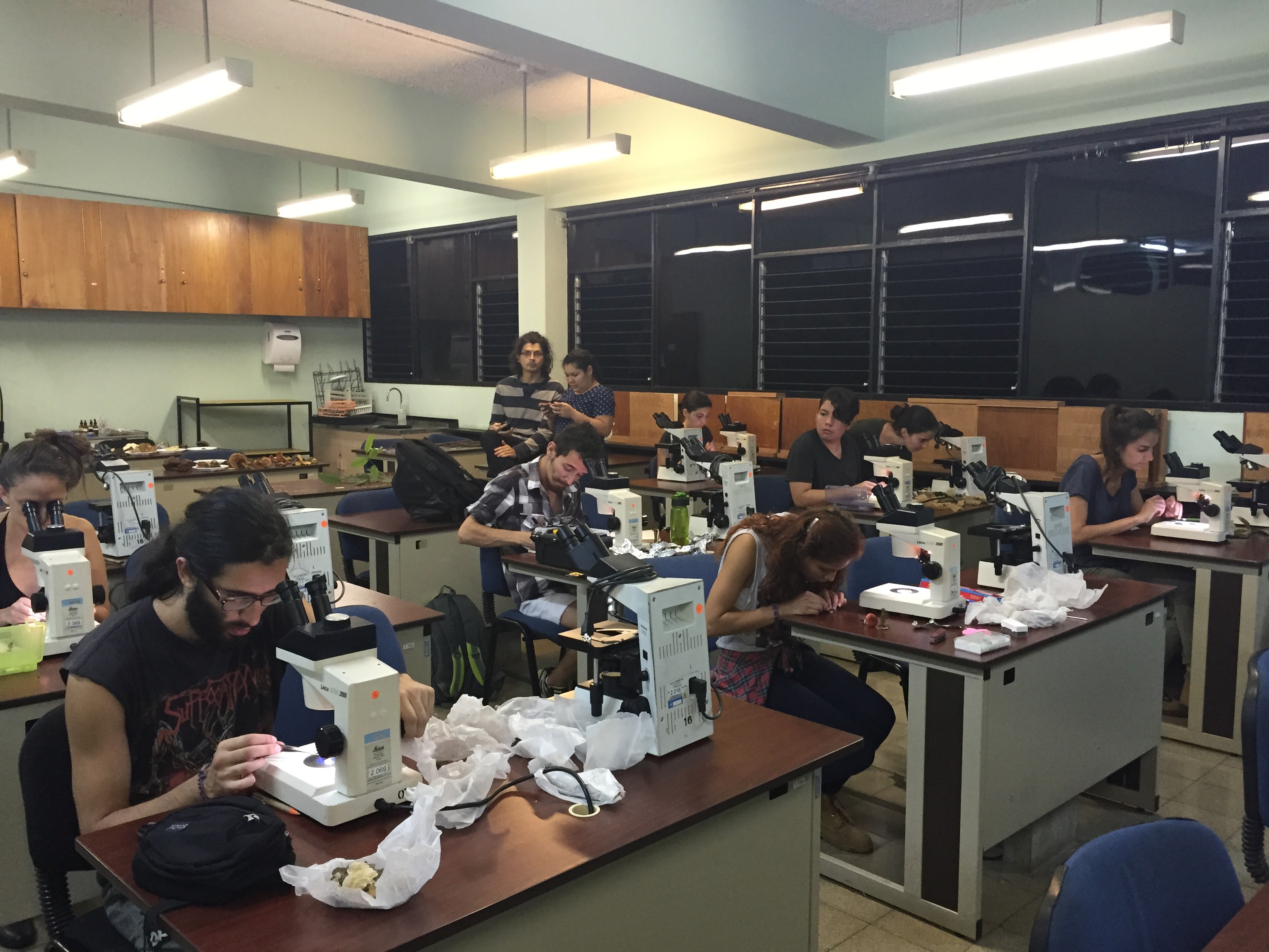 Supporting Fungal Scientists From Low-Income Countries campaign photo, 5 of 8