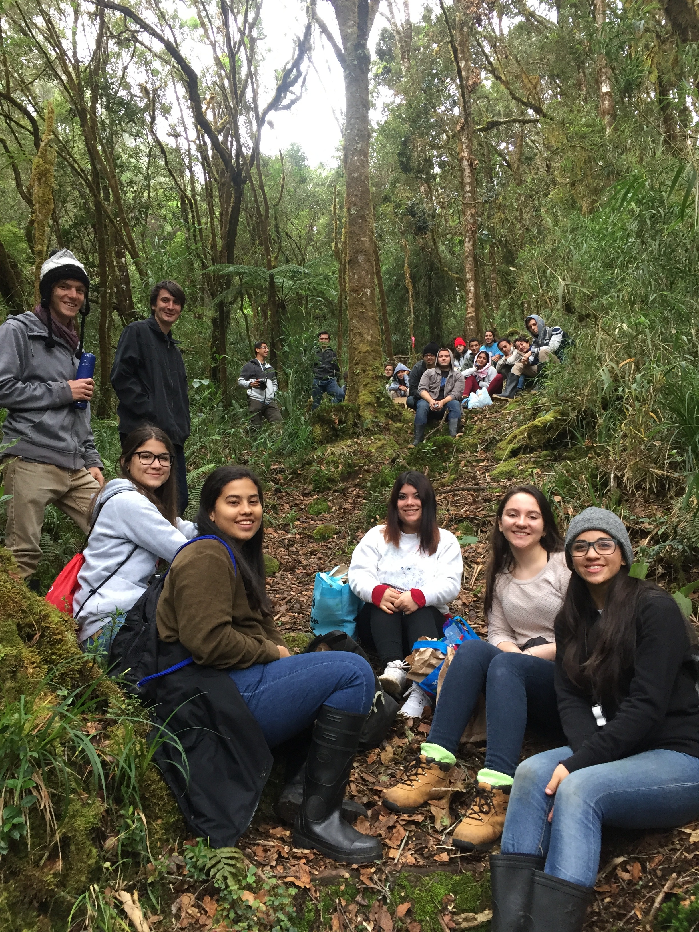 Supporting Fungal Scientists From Low-Income Countries campaign photo, 6 of 8