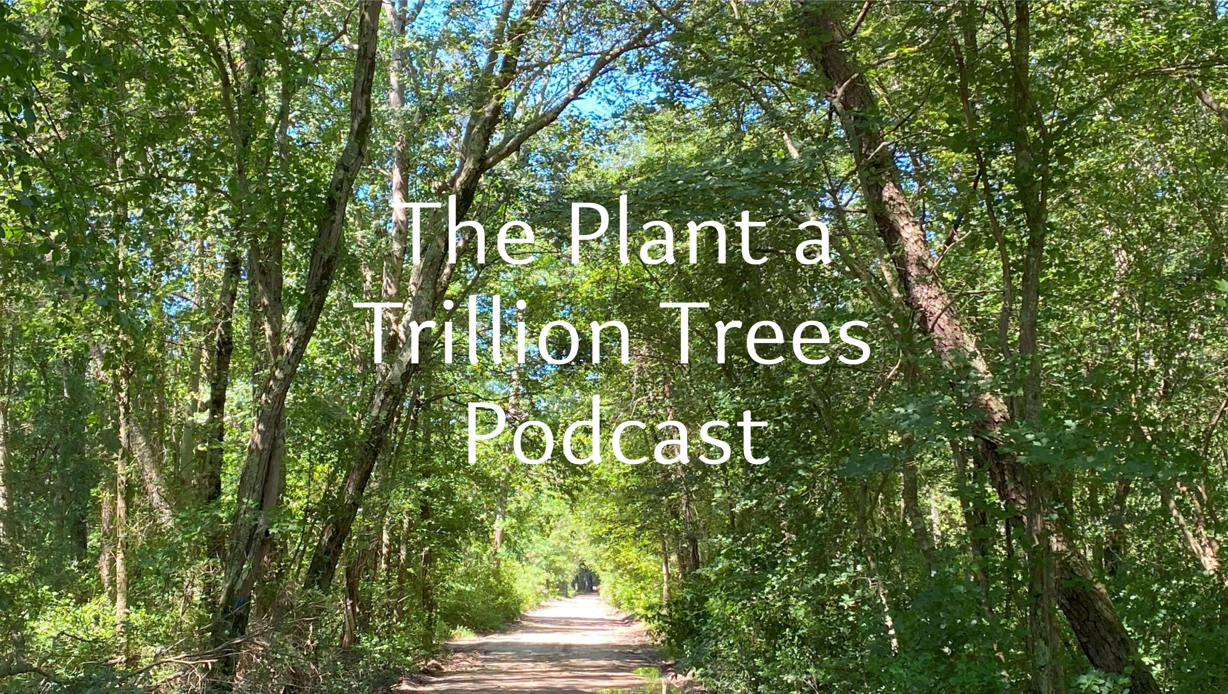The Plant a Trillion Trees Podcast Needs Your Help photo