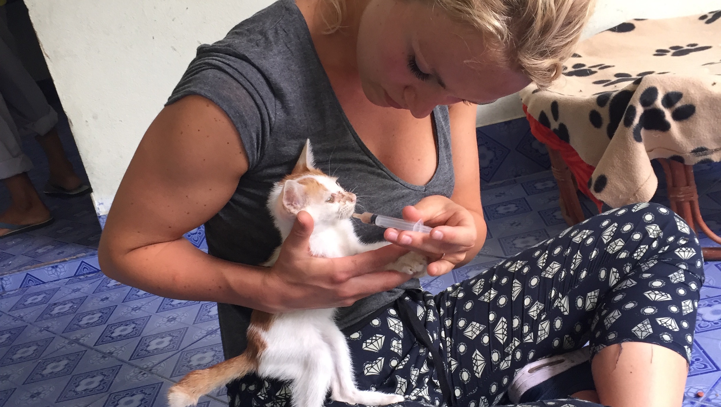 Fundraiser by Anne van Renssen : Steun ons project bij de Fenix ...