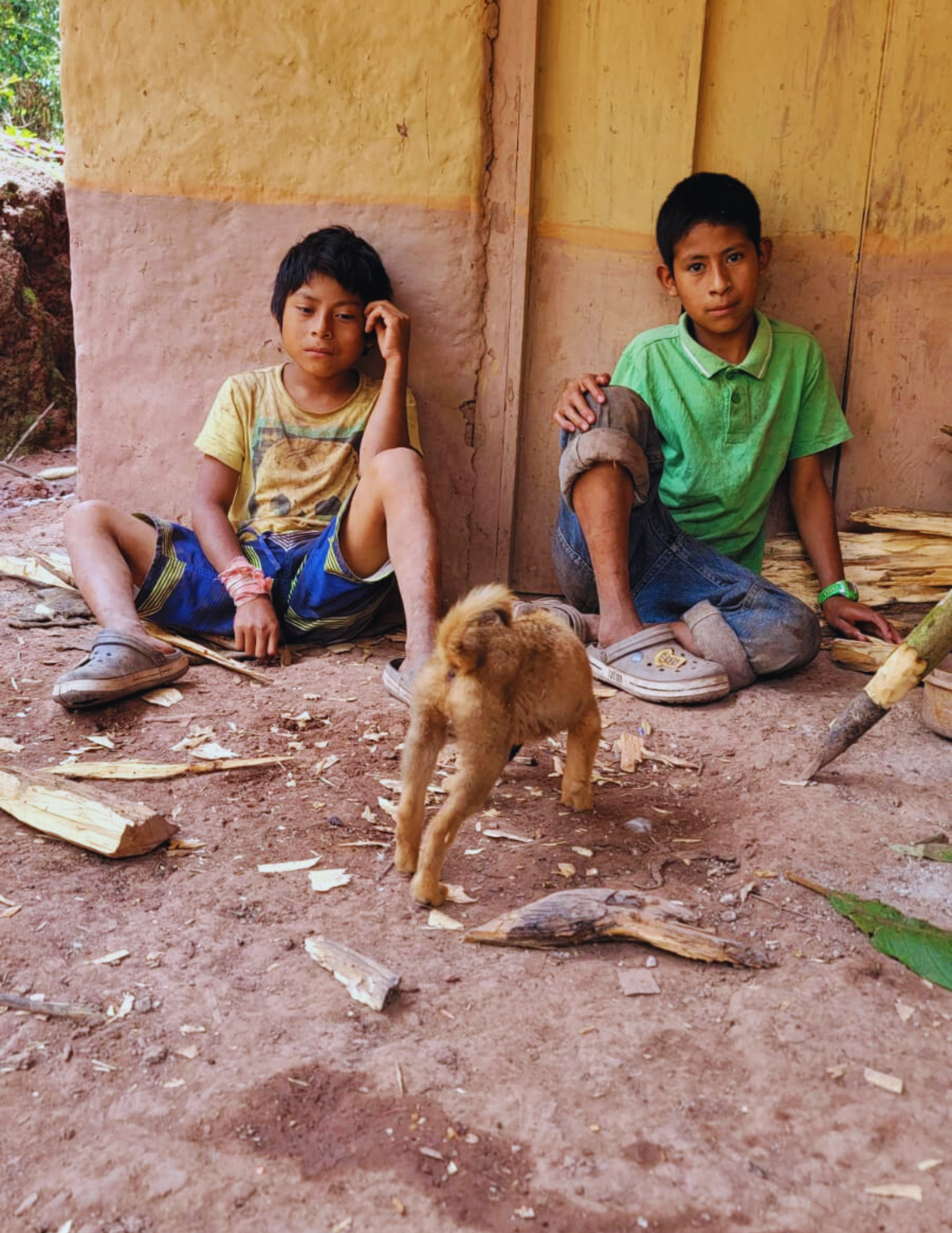 Proyecto Tolupan campaign photo, 4 of 6
