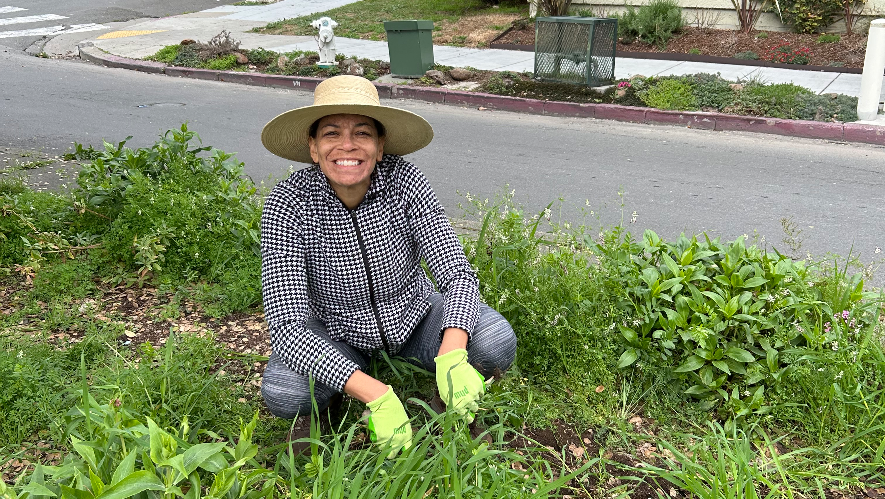 Let's Beautify Our Median! photo