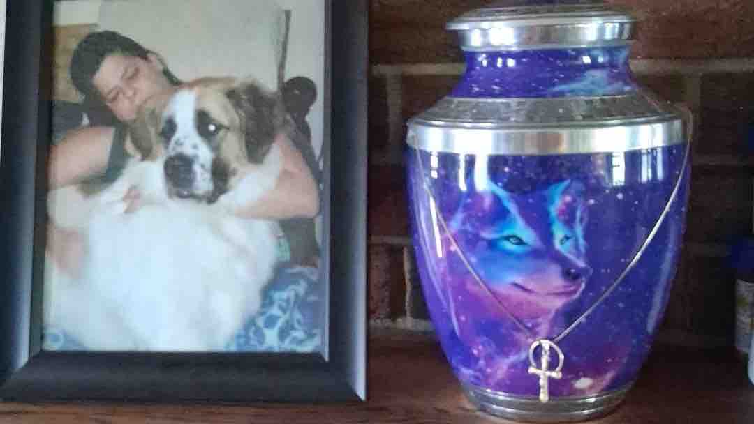 Support Kathy aka Ibatch and her Cremation Expense photo
