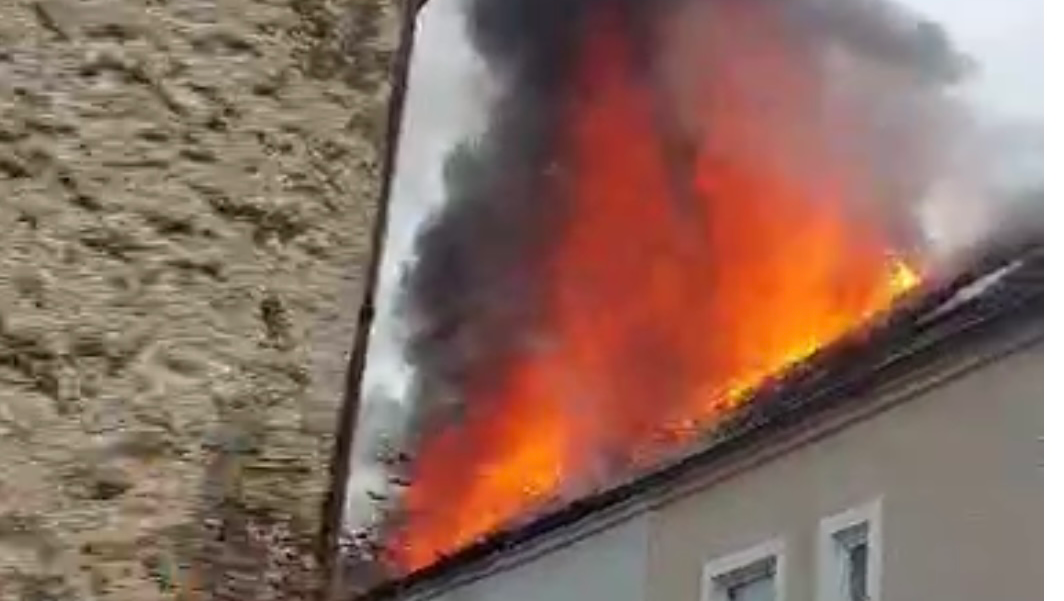 Fundraiser For Julia Branitskaya By Jan Allen Please Help Julia Her