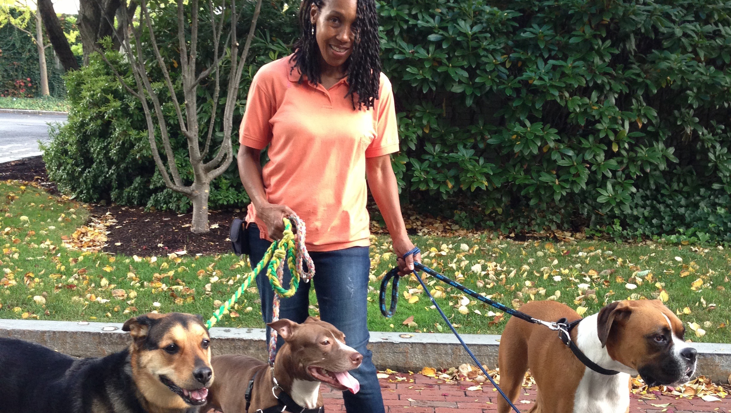 Unraveling Rosalind Russell’s Final Days: The Cause of Death—Science, Stress, and Silence