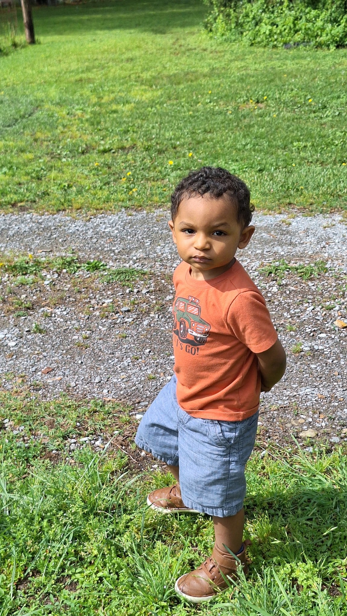 User-uploaded image 1