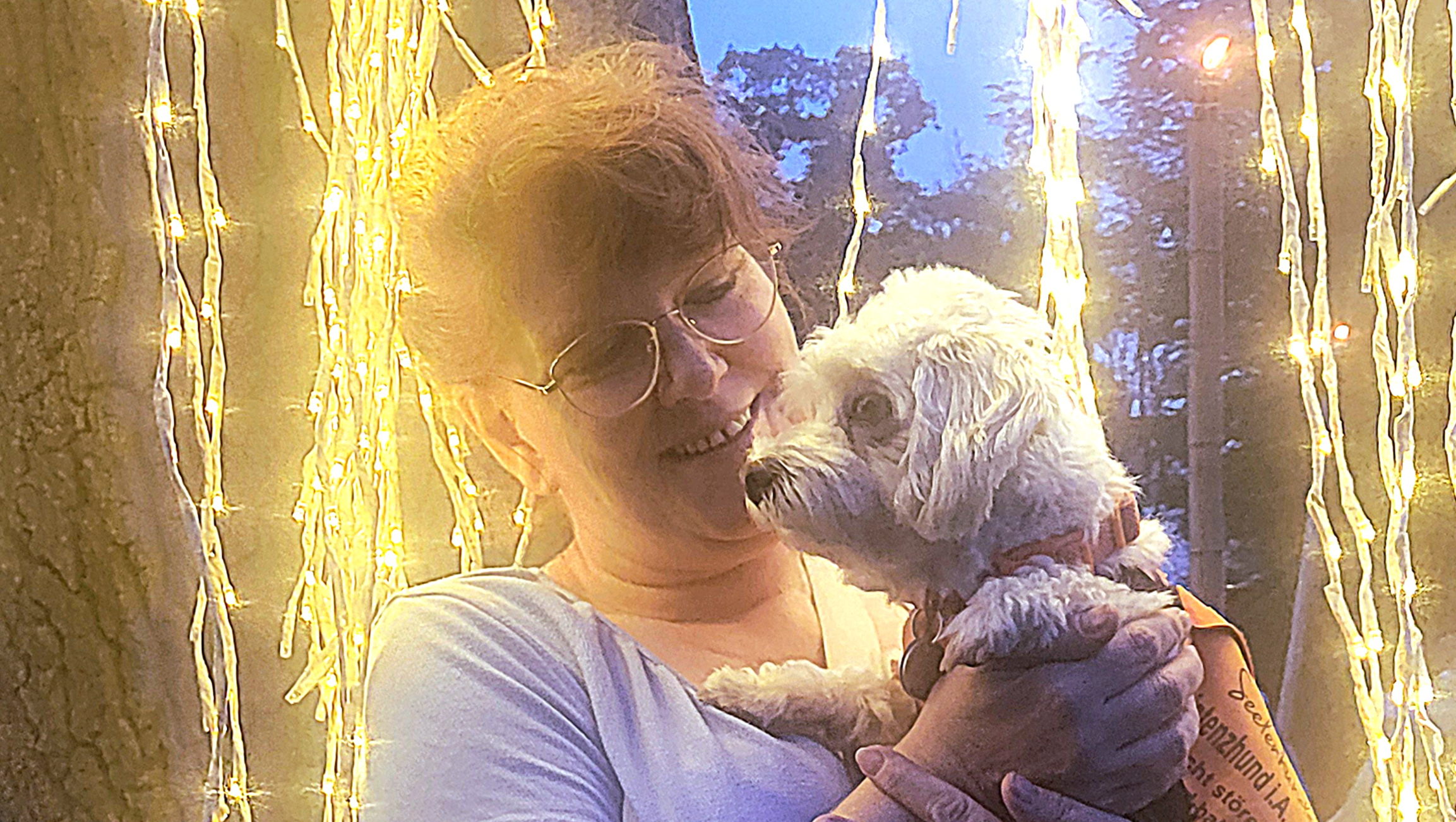 Assistenzhundeausbildung mit Maltesermaedchen Elsie. photo