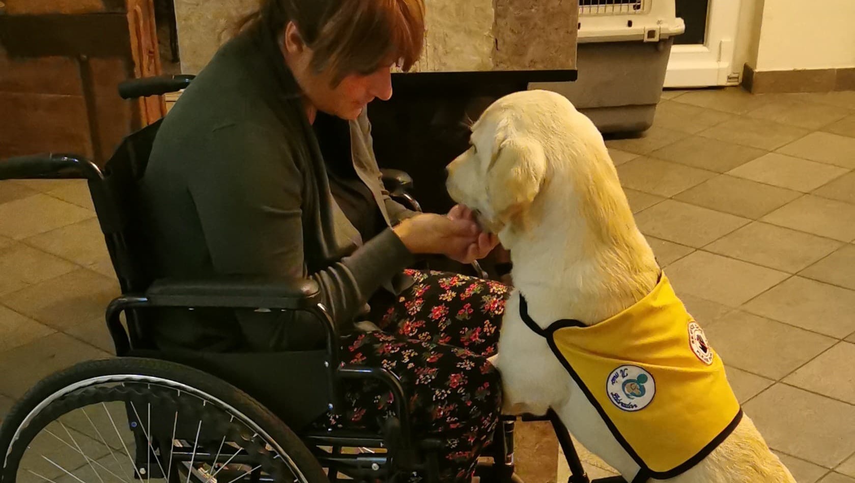 Un cane da Assistenza per una mamma con Sclerosi Multipla photo
