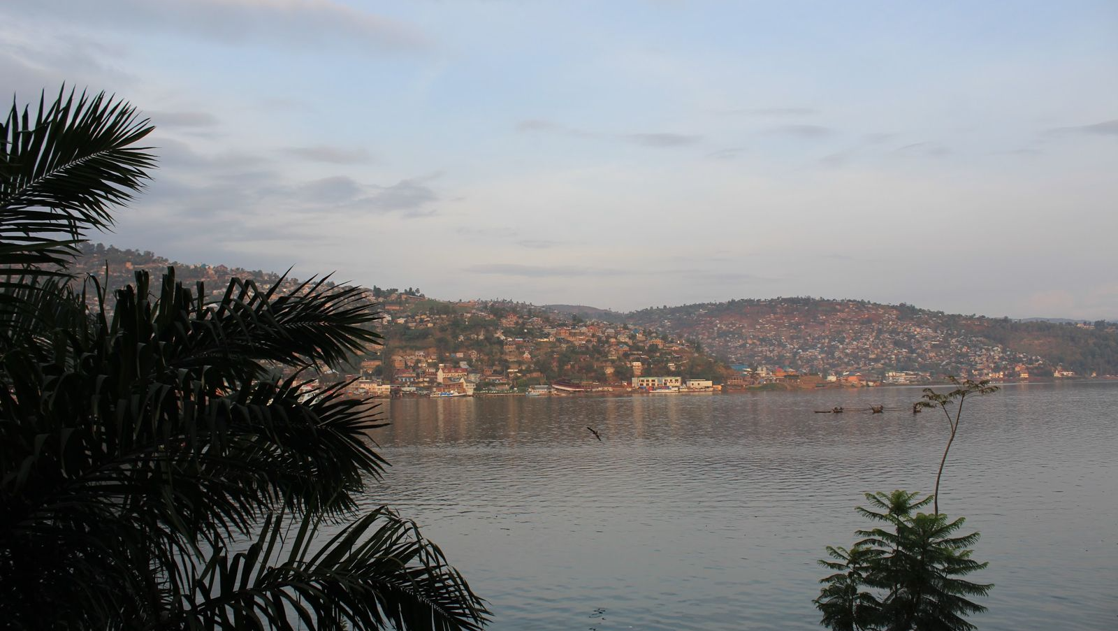 Emergency Evacuation Fund: DRC Peacebuilders photo