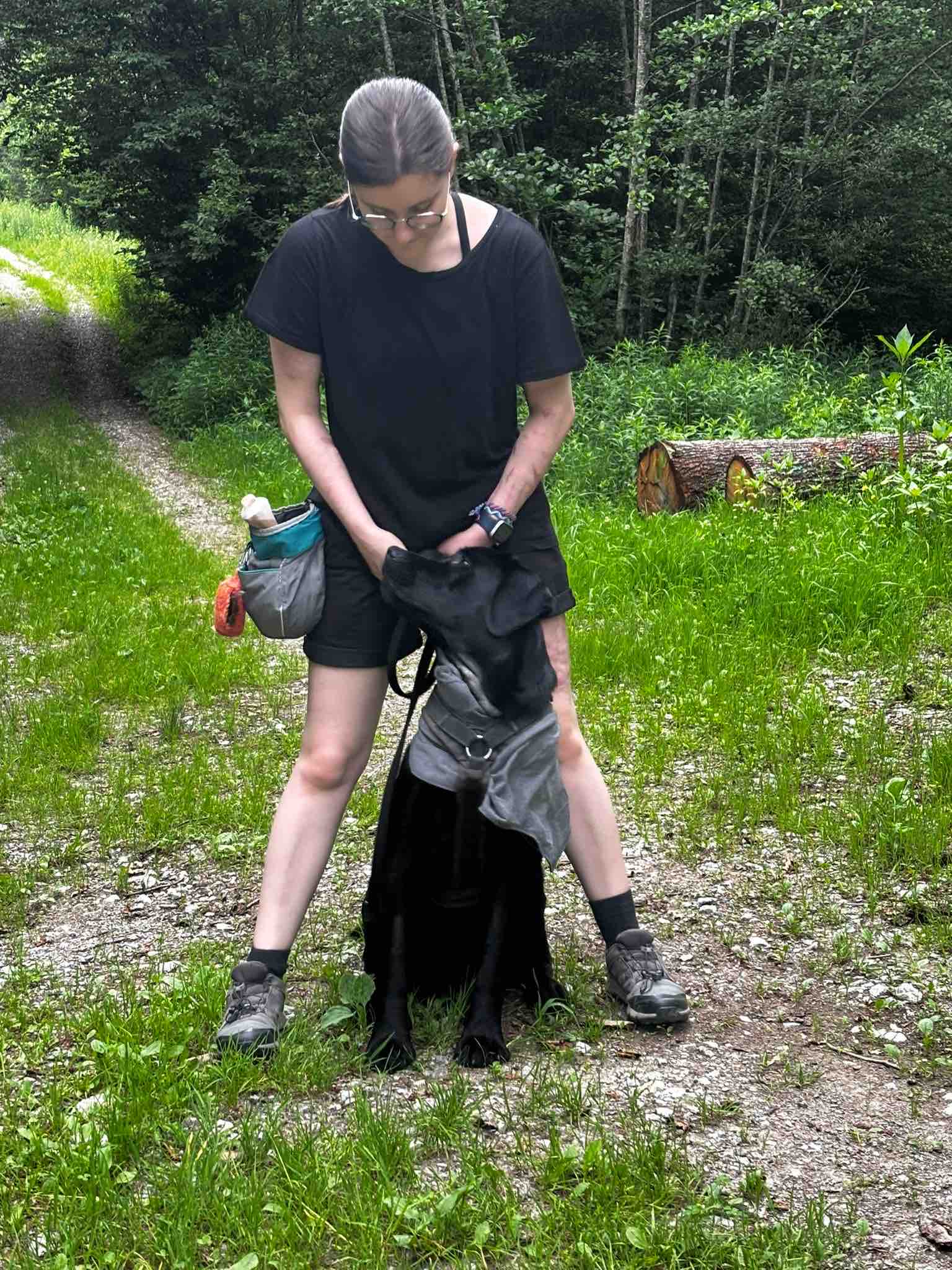 Kampagnen-Foto für Chancen auf ein normales Leben - PTBS-Asisstenzhund für Mara, 4 von 8