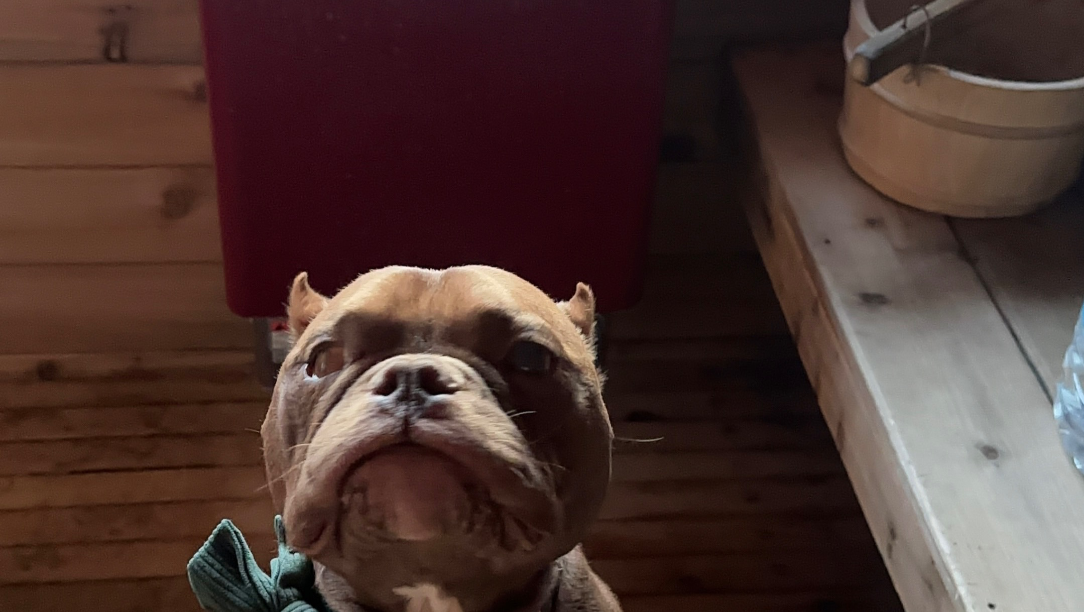 Fundraiser for Britt Ringstrom by Meghan Radde : Restore Britt's Sauna ...