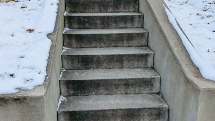 Support Holly's Recovery After Her Fall photo