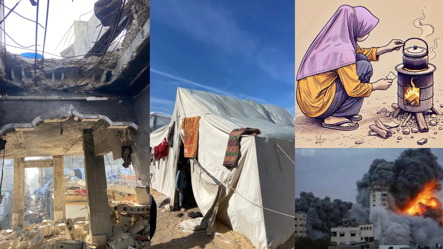 User-uploaded image 1