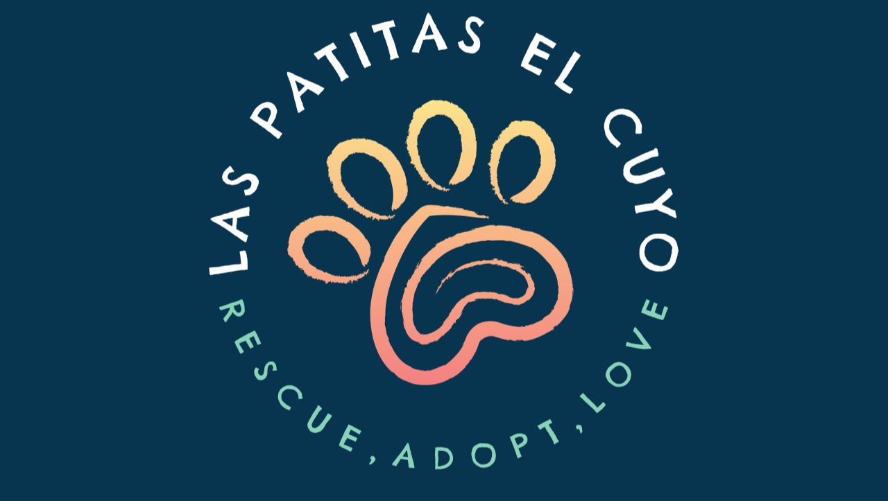 Helping Paws, Changing Lives! photo