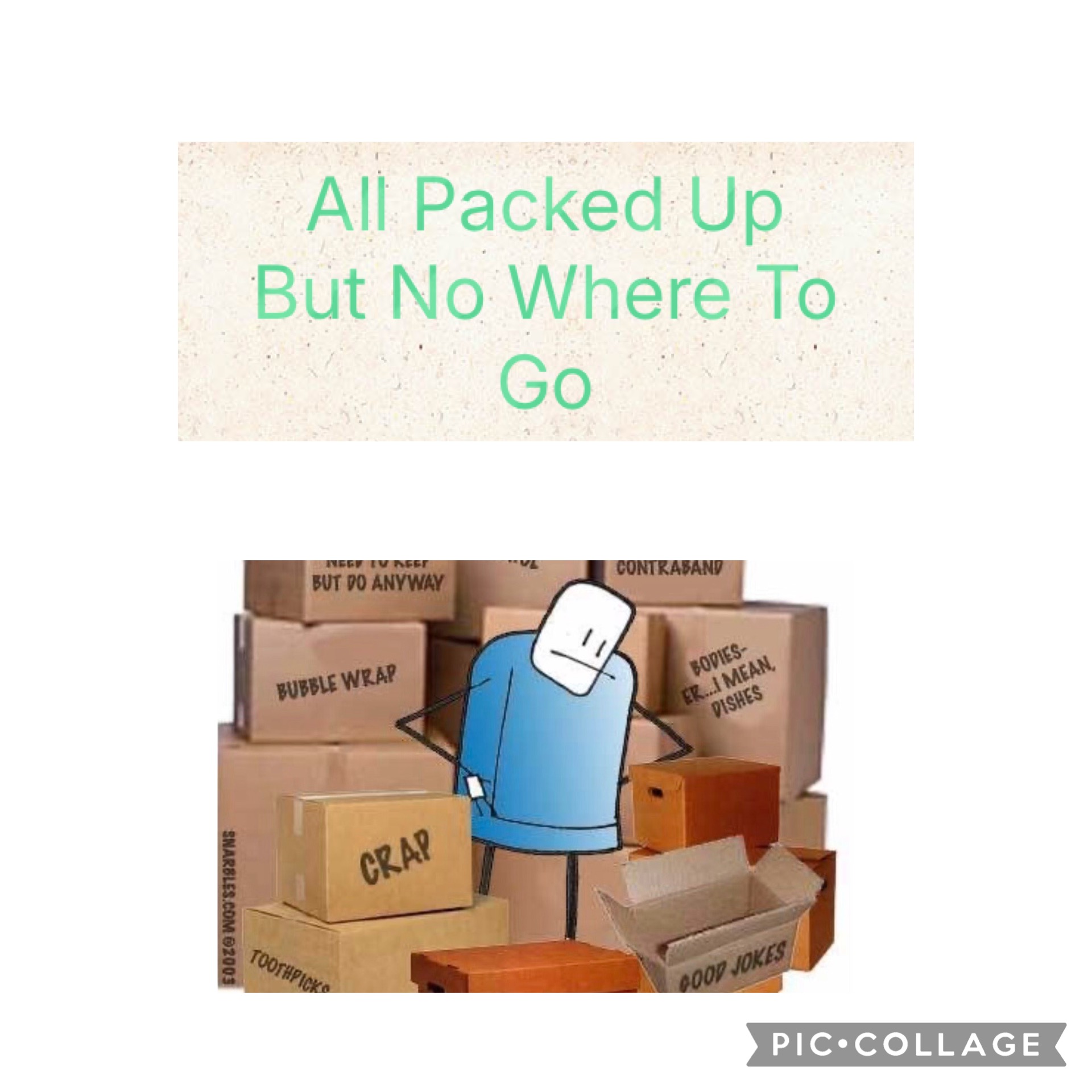 User-uploaded image 2