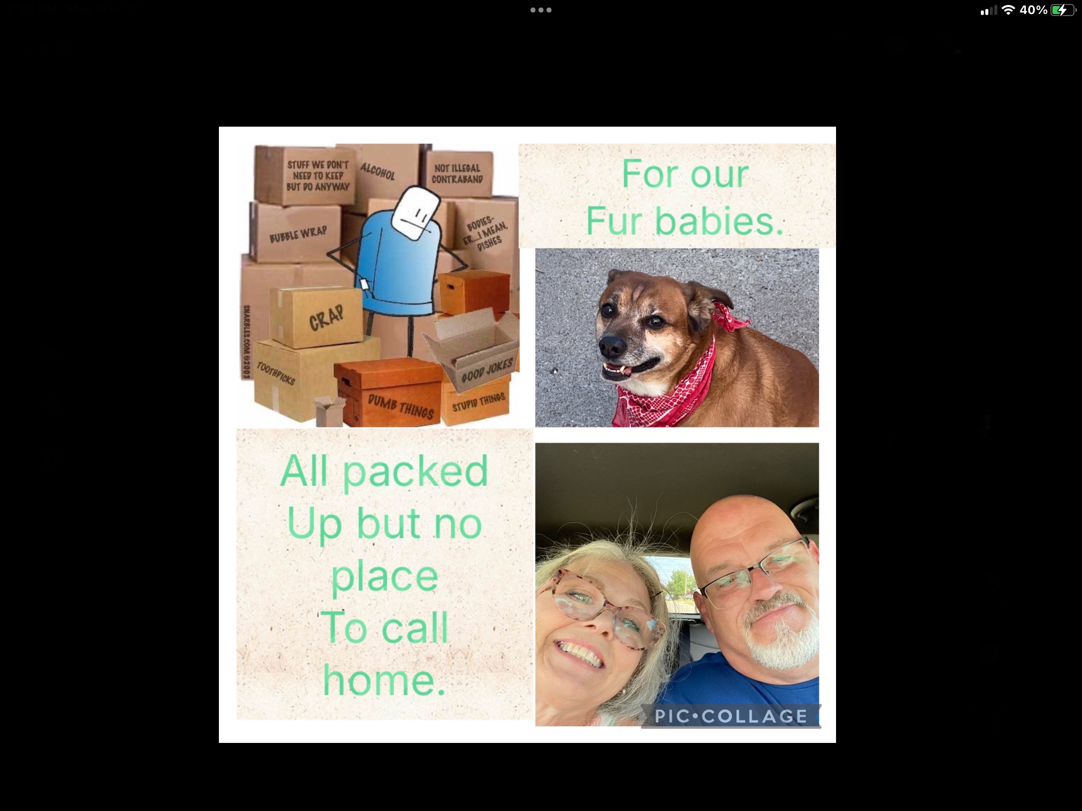 User-uploaded image 5